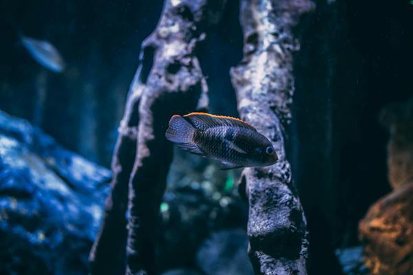 张掖市甘州区老街水族馆（张掖市甘州区老街水族馆地址）