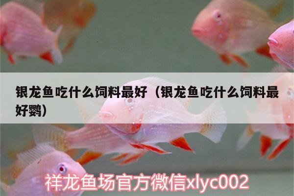 杭州做魚缸的商家電話（杭州做魚缸的商家電話號碼）