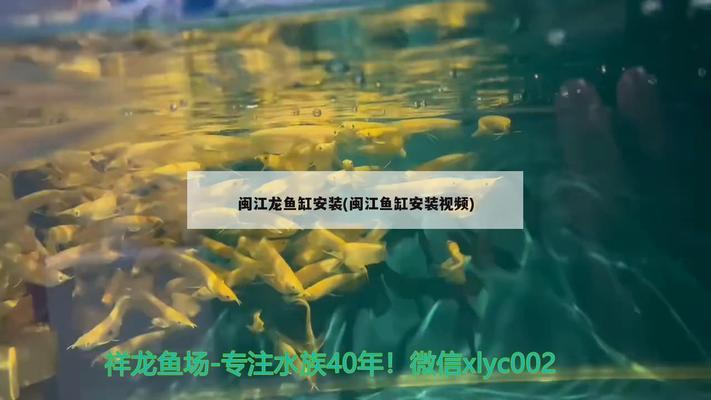 閩江h(huán)r3 580魚缸怎么安裝：閩江h(huán)r3580魚缸怎么安裝