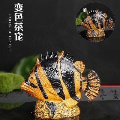 臨沂哪里賣魚(yú)缸便宜又好看 水族問(wèn)答 第2張