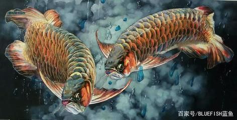 平頂山哪里賣(mài)魚(yú)缸（平頂山哪里賣(mài)魚(yú)缸的多）