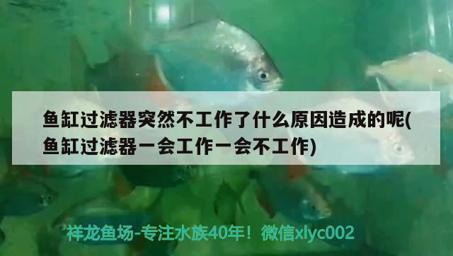 紹興魚缸售后維護公司