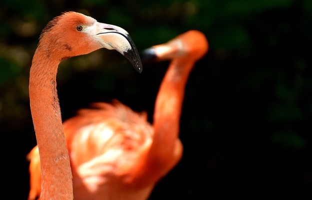 闽江水族鱼缸厂家电话号码（闽江水族鱼缸厂家电话号码查询）