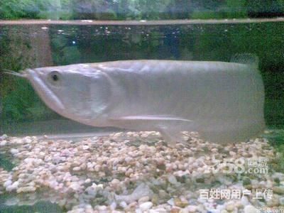 六枝特区森森水族馆（六枝特区森森水族馆电话）