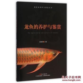 南寧清洗魚(yú)缸維修魚(yú)缸師傅（南寧清洗魚(yú)缸維修魚(yú)缸師傅電話）