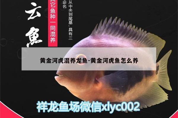 牟平区爱家水族馆（牟平区爱家水族馆电话）