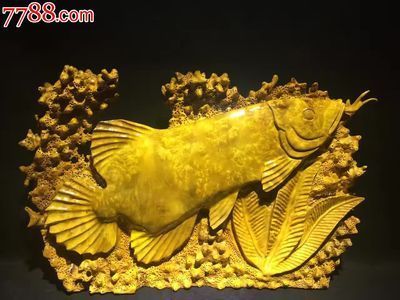 看看這魚怎么樣給點(diǎn)意見