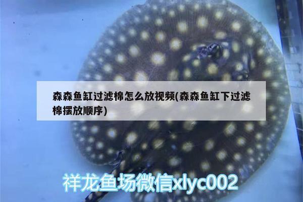 沈阳市惠源水族用品厂（沈阳市惠源水族用品厂地址）