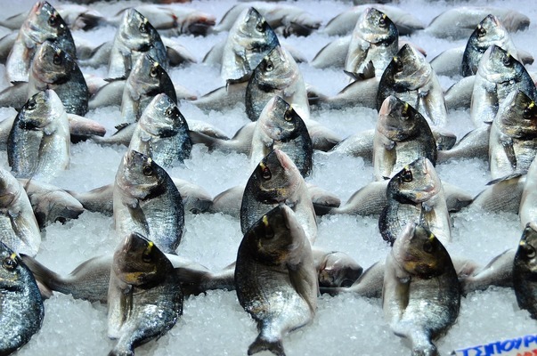 家居風(fēng)水魚(yú)缸位置（風(fēng)水魚(yú)缸的方位）