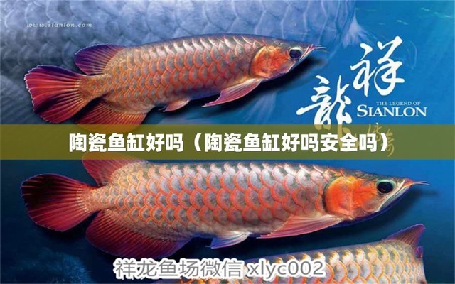 滕州二手魚缸低價出售電話號碼（滕州二手魚缸低價出售電話號碼查詢）