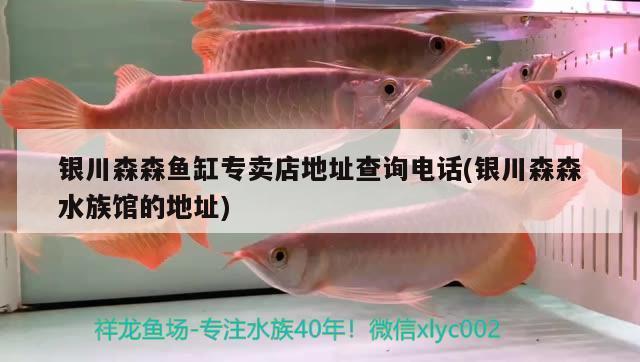 魚缸品牌排行榜前十名中國(guó)有幾個(gè)（魚缸品牌排行榜前十名中國(guó)有幾個(gè)廠家）