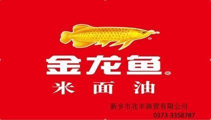 龍魚一開燈就亂闖亂撞是什么原因（龍魚一開燈就亂闖亂撞是什么原因呢）