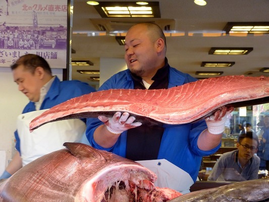 龍魚的正確飼養(yǎng)方法（小紅龍魚的正確飼養(yǎng)方法） 廣州龍魚批發(fā)市場