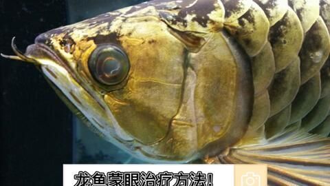 小城水族館（小城魚館） 全國(guó)水族館企業(yè)名錄