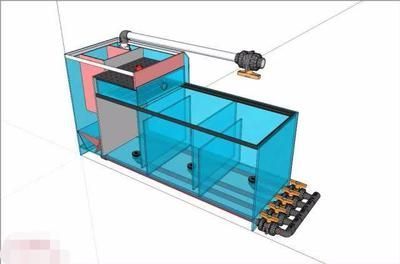 東莞魚缸定制藝景水族正規(guī)廠家電話號(hào)碼（東莞魚缸定制藝景水族正規(guī)廠家電話號(hào)碼多少）