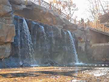 大同市礦區(qū)金龍魚水族館