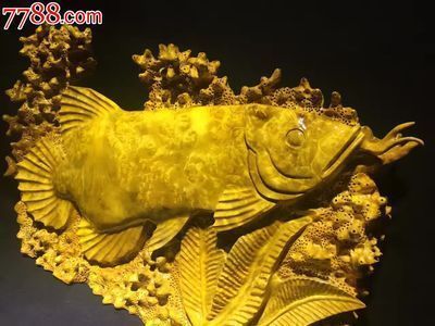 萊蕪魚缸生產(chǎn)廠家電話號碼查詢（萊蕪魚缸生產(chǎn)廠家電話號碼查詢）