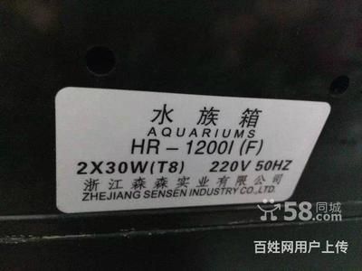 新泰賣魚(yú)缸的地方（新泰賣魚(yú)缸的地方在哪里） B級(jí)過(guò)背金龍魚(yú)