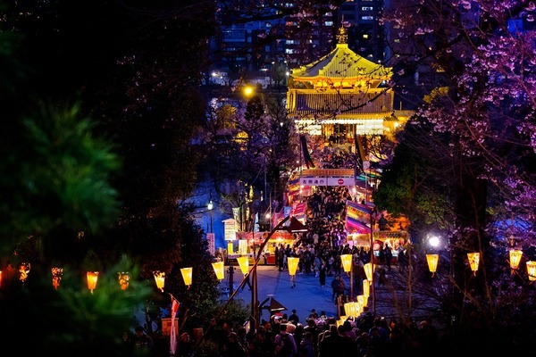 鞍山賣(mài)觀賞魚(yú)的地方電話號(hào)（鞍山賣(mài)觀賞魚(yú)的地方電話號(hào)碼）