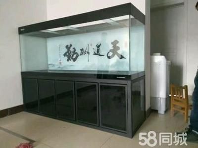 六角恐龍魚適合的水溫養(yǎng)殖水溫是多少（六角恐龍魚適合的水溫養(yǎng)殖水溫是多少）