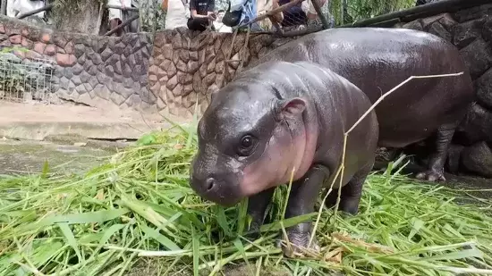 유목민 별이 빛나는 하늘