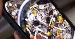 贵州一家9口吃鹅膏菌中毒 医生：致死率非常高