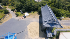 《刺客信条影》跑酷照进现实：无伤信仰之跃挑战