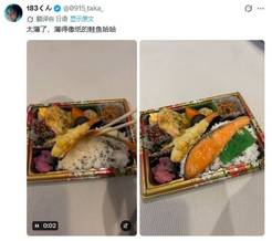 极致刀工！日本网友晒鲑鱼便当 鱼片厚度引全网调侃