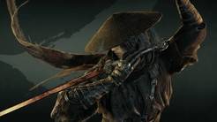 IGN《影之刃零》9分!近年最佳动作游戏 流畅到难以置信