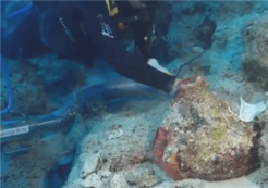 土耳其海域发现据信全球最古老沉船 年代最远可追溯至4700年前
