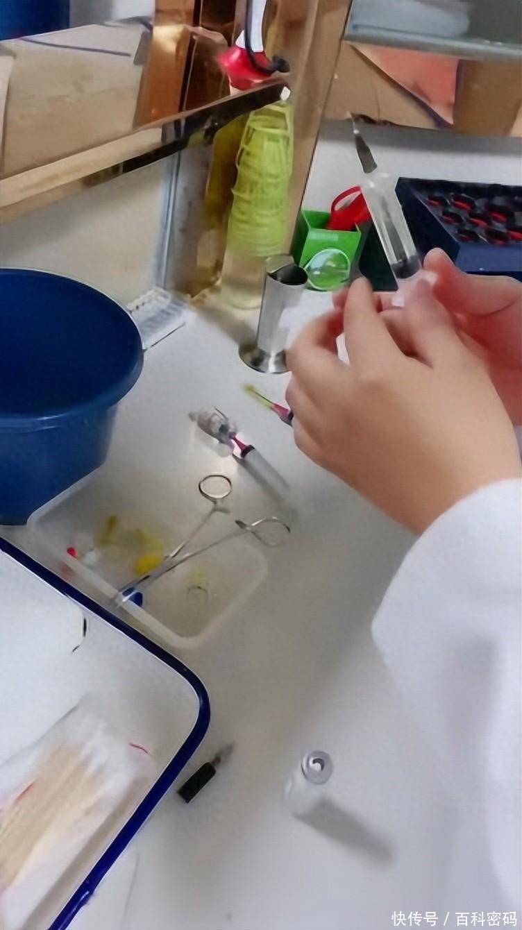 为什么输血不能用小针童年阴影“屁股针”，一针见效快还便宜！为啥现在基本不见了？_https://www.jmylbn.com_新闻资讯_第1张