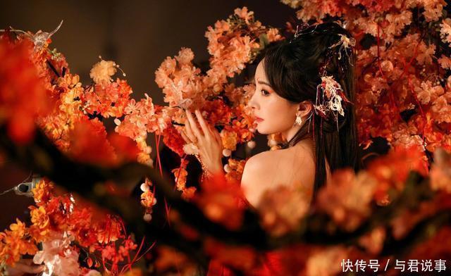 杨幂被评为“2024年度最失望演员”!导演:演戏不过脑 - 360娱乐,你开心就好
