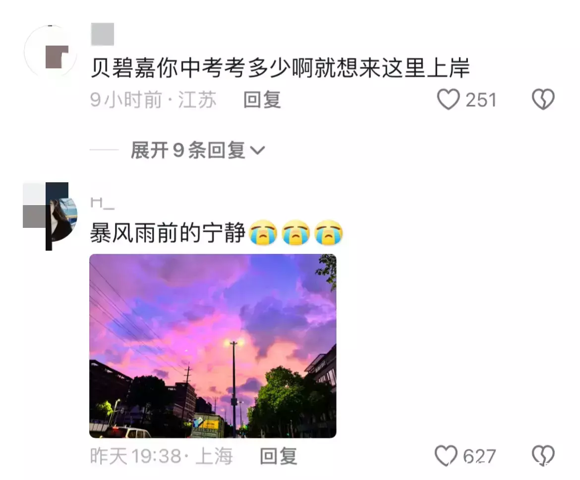 笑喷！台风贝碧嘉席卷上海，却被这3个抱着树的和坚持结婚的笑死- 360娱乐