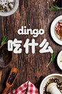 dingo 吃什么 2016