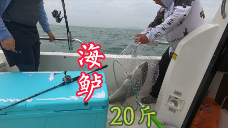 阿杰新船首航，鲈鱼饿疯了似的疯狂咬钩，全船中鱼玩的太嗨了