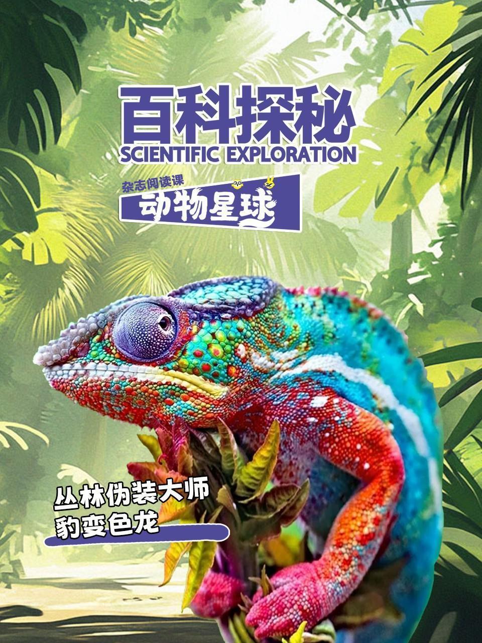 百科探秘动物星球：丛林伪装大师豹变色龙