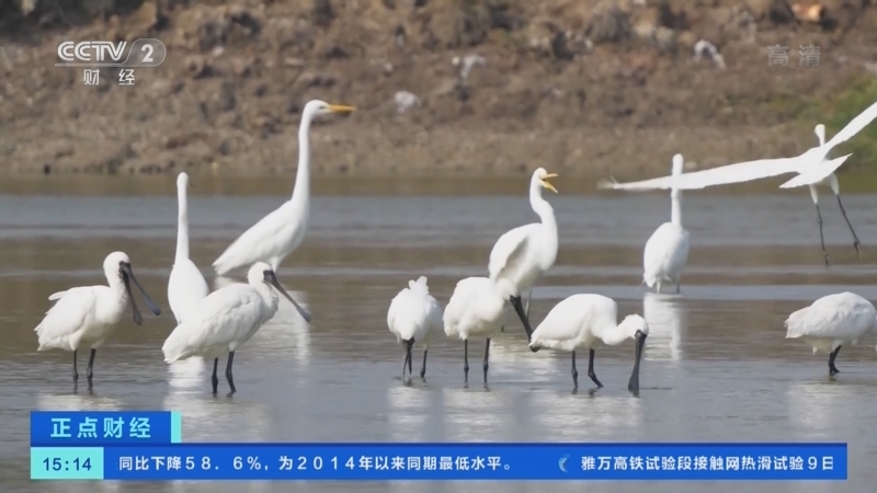 正点财经 《正点财经》 20221110 15:00