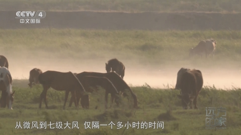 远方的家 《远方的家》 20250904 中国自然秘境 多彩山川 斑斓入画