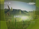地理中国 《地理中国》 20130430 寻奇天下·解密奇峰