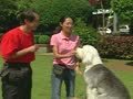 狗狗周记第一季 狗狗週記 第一季37
