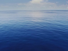 蓝色星球 第二季第4集：深蓝海洋
