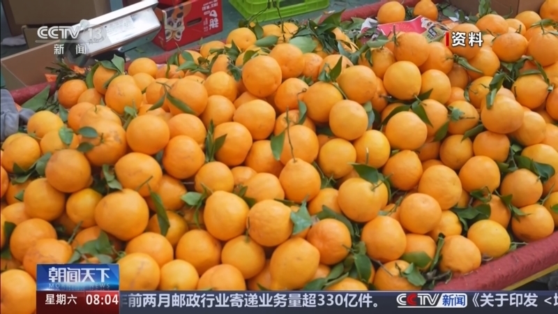 《朝闻天下》 20260321 08:00