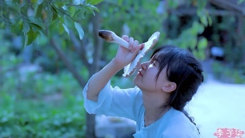李子柒古香古食 带些雨露清甜的鸡枞菌