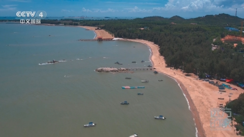 《远方的家》 20260403 山河锦绣看中国 蔚蓝交响 山海钦州