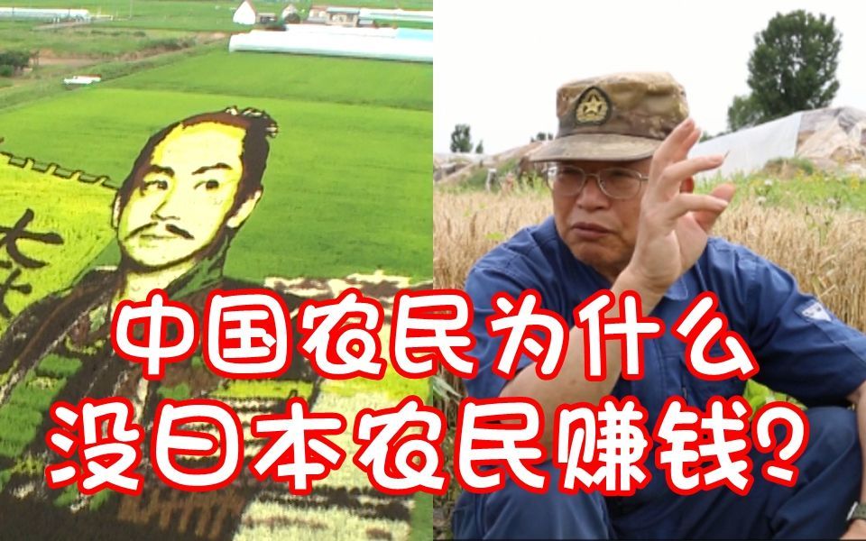 我住在这里的理由 第二季 中国农民为什么没日本农民赚钱？