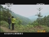 远方的家 百山百川行 第五十五集 美丽八万山《远方的家》 20130705