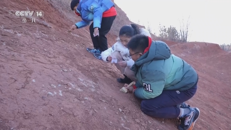 《动感特区》 20260102 大器我成