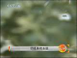 天网 天网 2010年 第53期