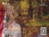 音乐快递 《音乐快递》 20180606 梦想欢唱