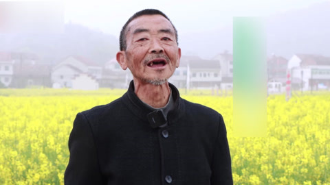 种植前线 金色油菜花样致富 绽放美丽经济